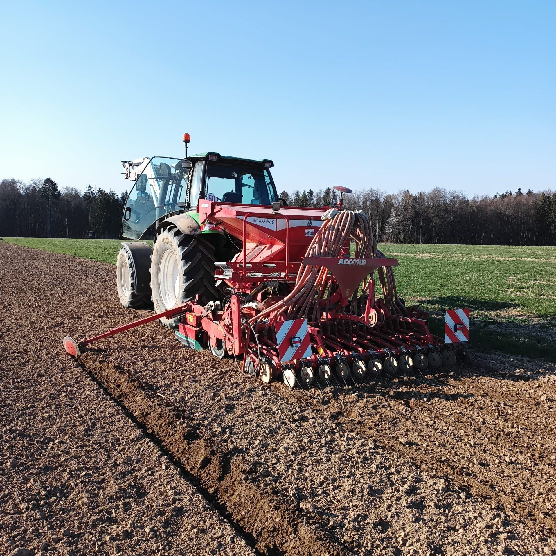 Dinkelmehl Type 630 regional naturbelassen – Bild 4